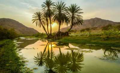 Finding Peace in Riyadh’s Natural Gems