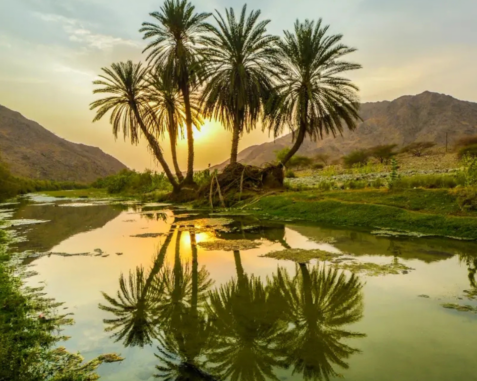 Finding Peace in Riyadh’s Natural Gems